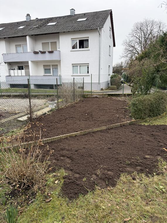 Baum samt Wurzel entfernt
